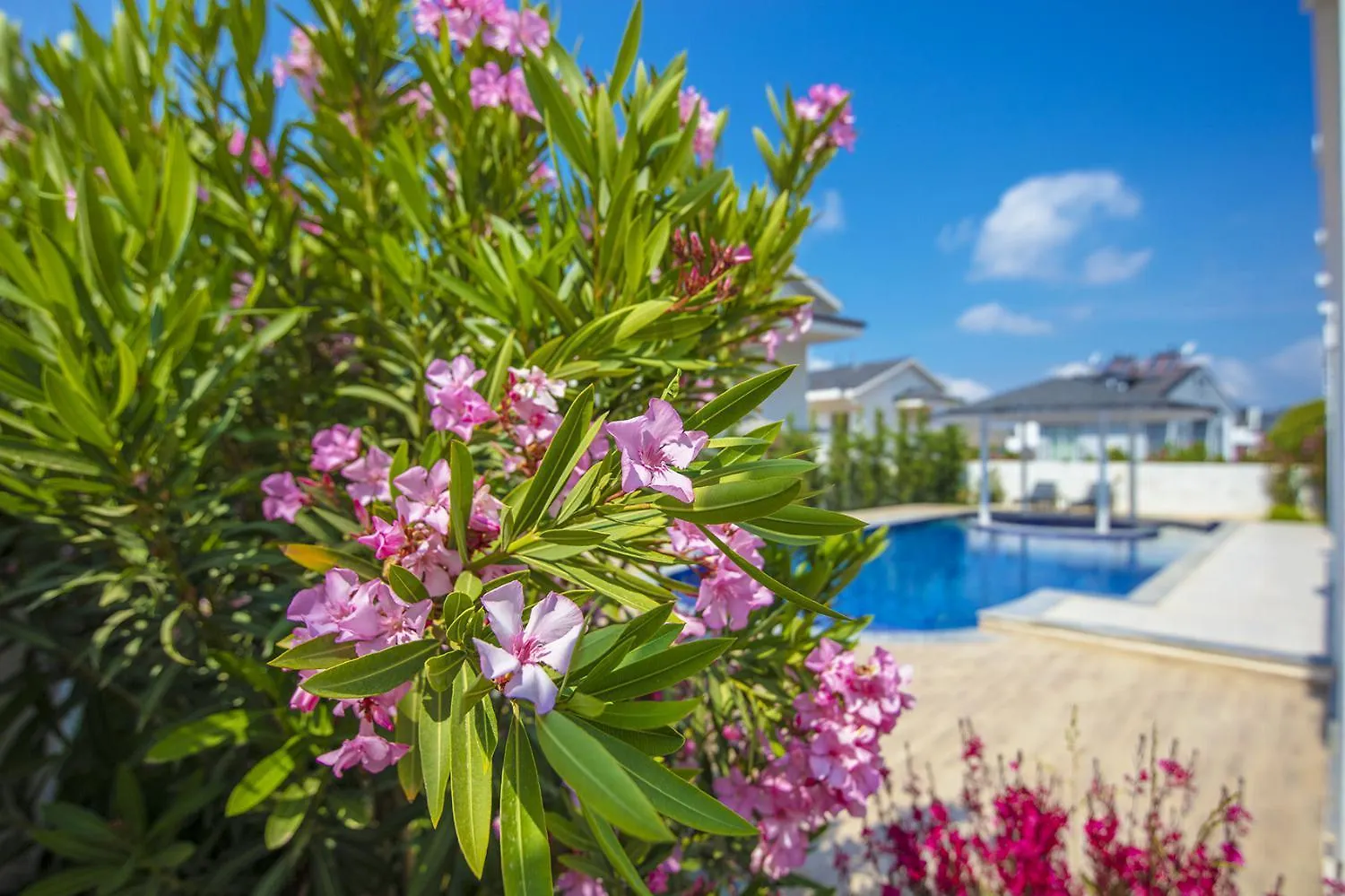 Orka World Villa 1 أولدينيس 0*,  تركيا